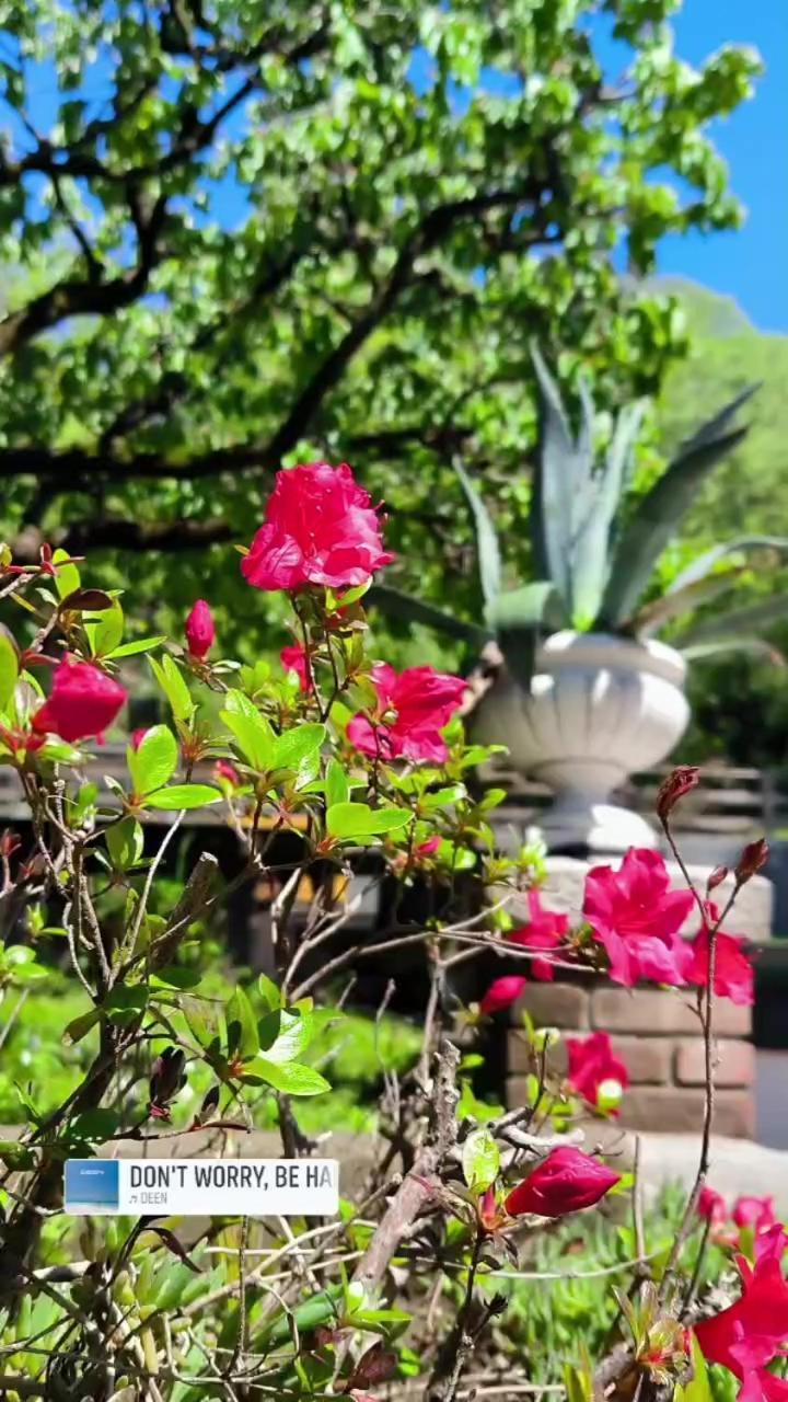 Villa Marchesa アローナ エクステリア 写真